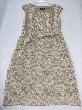 dressbarn Beige champagne Lace Overlay cinched Midi Dress
